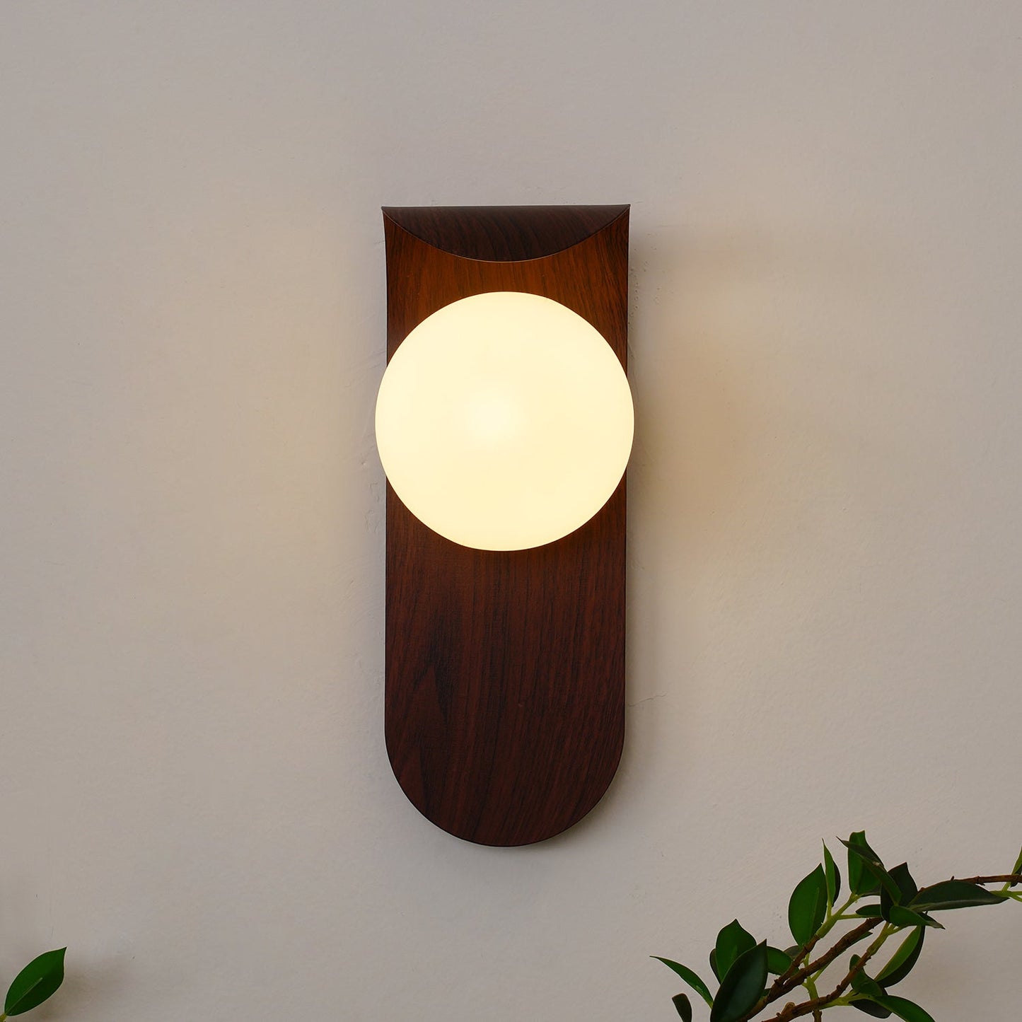 Exuro Applique Murale Intérieure en Bois / Noyer