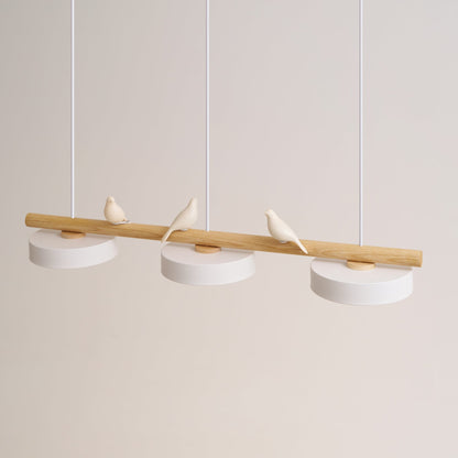 Cliff Suspension Oiseau