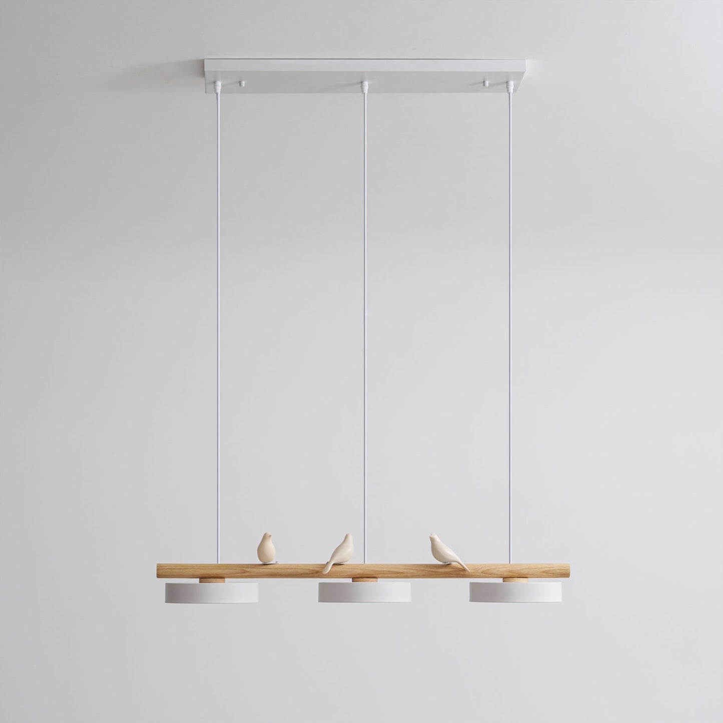 Cliff Suspension Oiseau